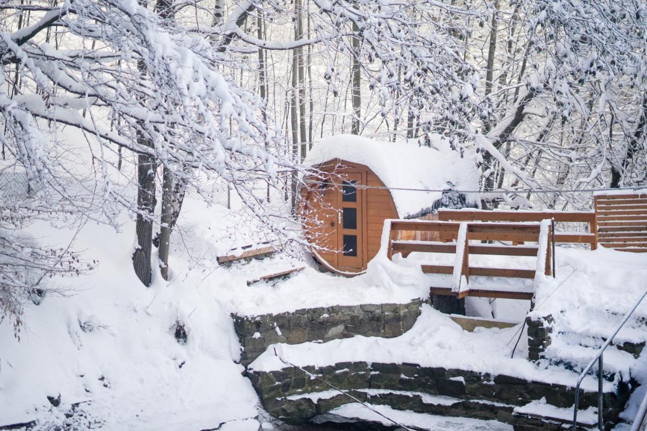 Poniwiec Mala Czantoria Ustroń Exterior foto